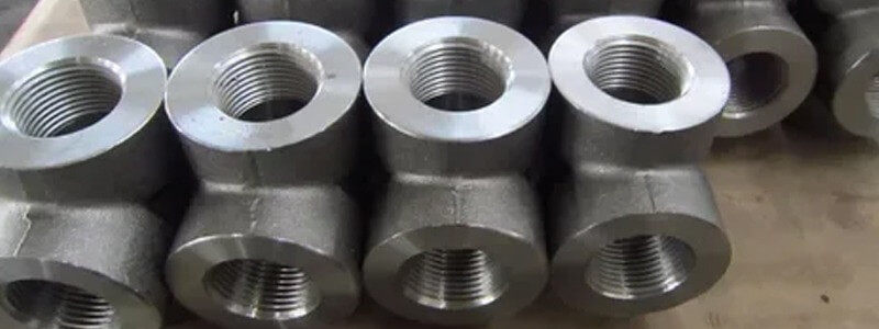 Duplex S31803 Forged Fittings